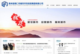 铜仁城市开发投资集团有限公司